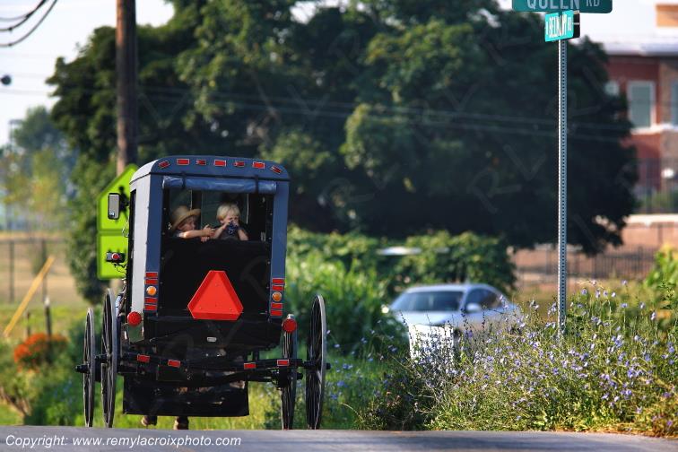 Paradise Lancaster Dutch County Amish Buggy Pennsylvania Pennsylvanie USA ww.remylacroixphoto.com