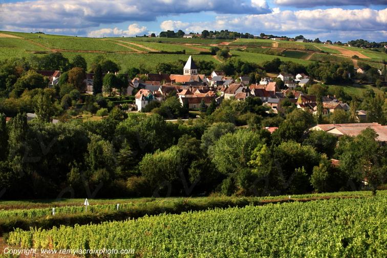Sury en Vaux vignoble Sancerrois Cher Berry Centre Val de Loire France