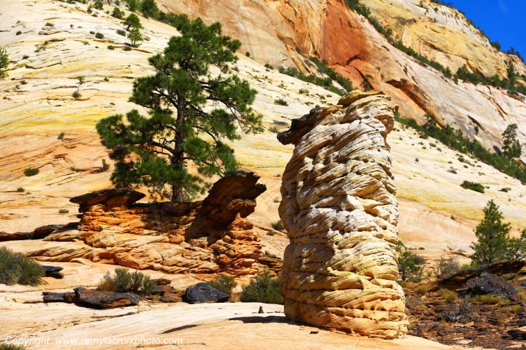 Mount Carmel Highway Zion National Park Utah USA