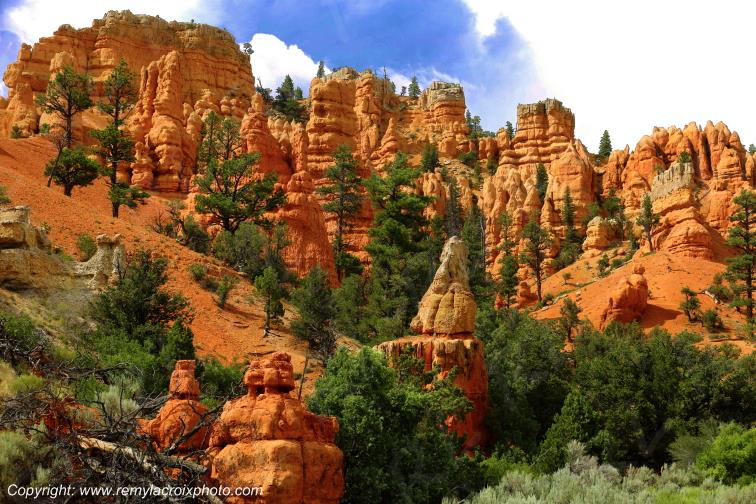 Red Canyon Utah USA www.remylacroixphoto.com