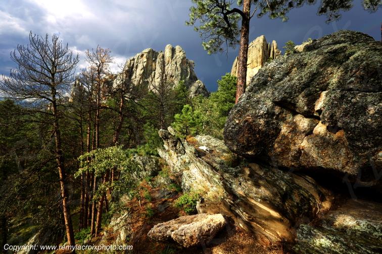 Mount Rushmore Black Hills South Dakota USA