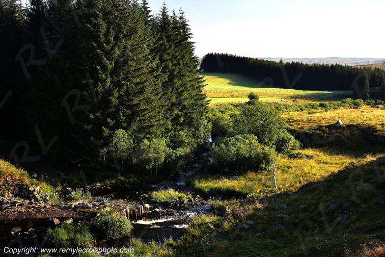 Ruisseau Le Pl�ches Nasbinals Aubrac Loz�re Languedoc-Roussillon Occitanie France www.remylacroixphoto.com
