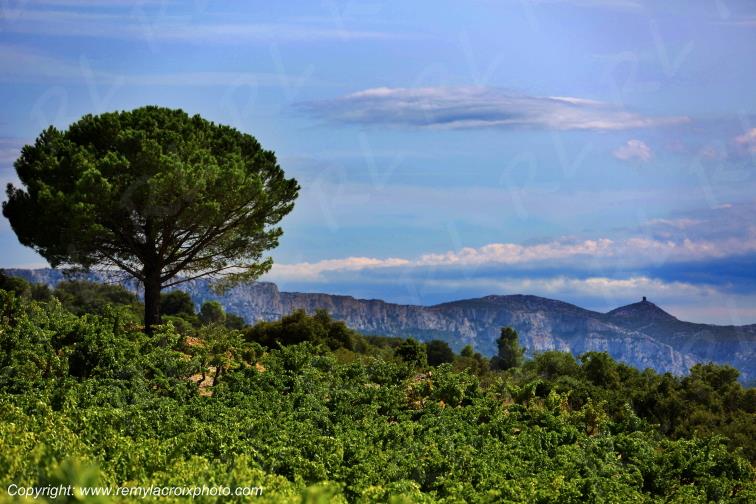 Haut Fitou vignoble Corbi�res Aude Occitanie France www.remylacroixphoto.com
