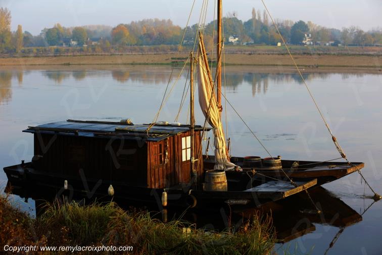 Candes Saint Martin la Vienne Indre et Loire Centre Val de Loire France