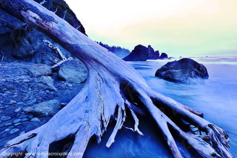 Ruby Beach Olympic National Park Washington USA www.remylacroixphoto.com