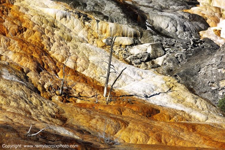 Mammoth Hot Springs Yellowstone National Park Wyoming USA www.remylacroixphoto.com