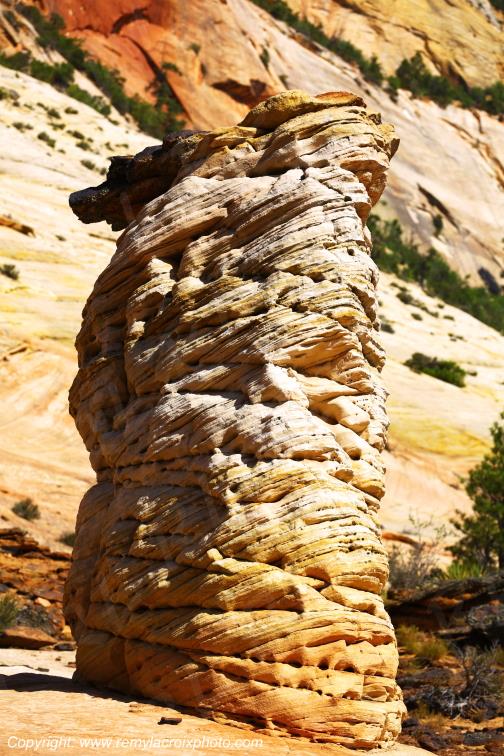 Mount Carmel Highway Zion National Park Utah USA