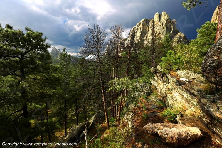 Mount Rushmore Black Hills South Dakota USA
