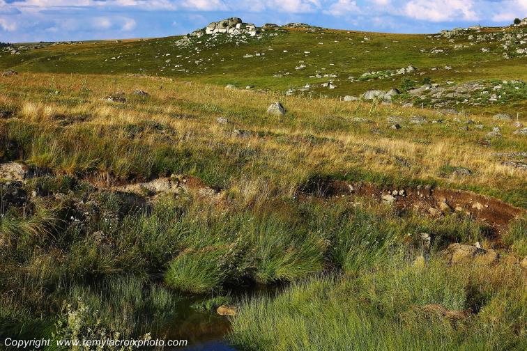 Col de Bonnecombe Aubrac Loz�re Languedoc-Roussillon Occitanie France www.remylacroixphoto.com