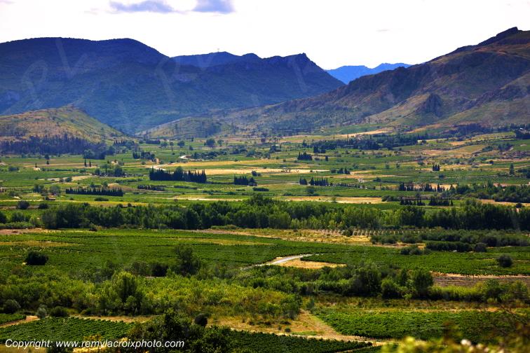 Vignoble du Haut-Fitou Corbi�res Aude France