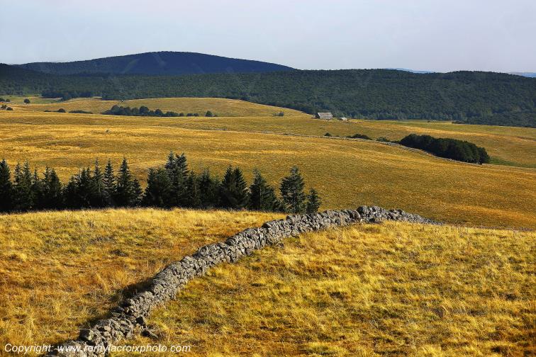Aubrac Aveyron Occitanie France www.remylacroixphoto.com