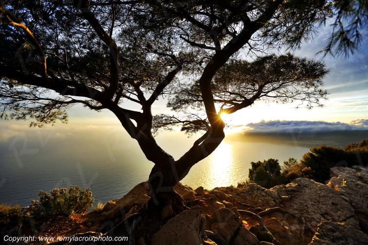 Calanques Route des Cr�tes Bouches du Rh�ne Provence Alpes C�te d'Azur France www.remylacroixphoto.com