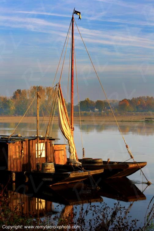 Candes Saint Martin la Vienne Indre et Loire Centre Val de Loire France