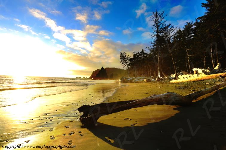 Rialto Beach Olympic National Park Washington USA www.remylacroixphoto.com