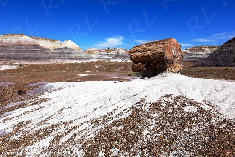 Blue Mesa Petrified Forest National Park Arizona USA