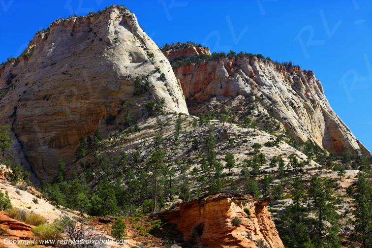 Mount Carmel Highway Zion National Park Utah USA