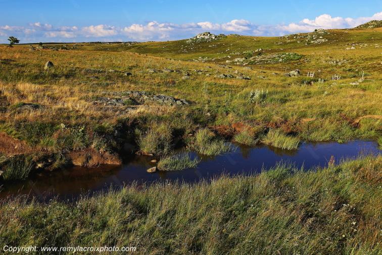 Col de Bonnecombe Aubrac Loz�re Languedoc-Roussillon Occitanie France www.remylacroixphoto.com