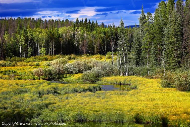 Tweedsmuir Provincial Park British Columbia Canada www.remylacroixphoto.com #tweedsmuir #britishcolumbia #canada