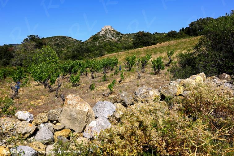 Ch�teau Cathare d'Aguilar vignoble du Haut-Fitou Corbi�res Aude France