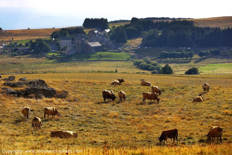 Aubrac Aveyron Occitanie France www.remylacroixphoto.com