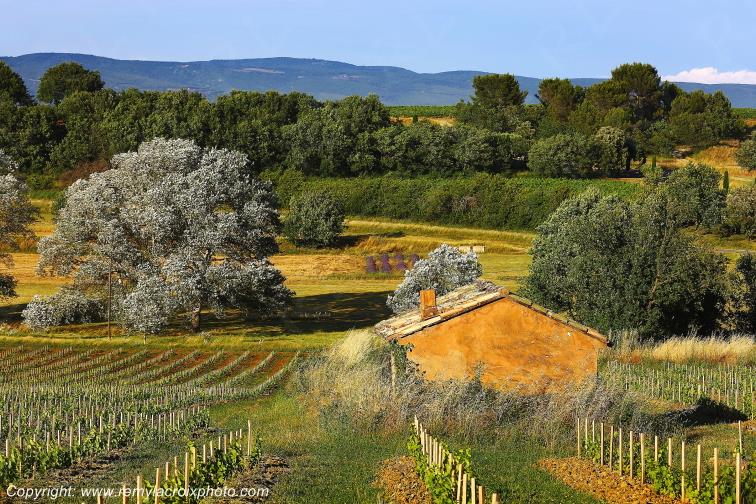 Roussillon Lub�ron Vaucluse Provence Alpes C�te d'Azur PACA France www.remylacroixphoto.com