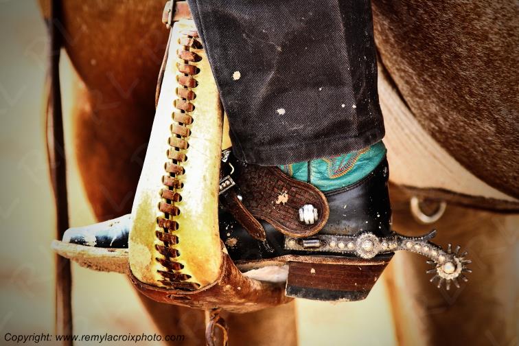 Rodeo Cheyenne Frontier Days Wyoming USA www.remylacroixphoto.com
