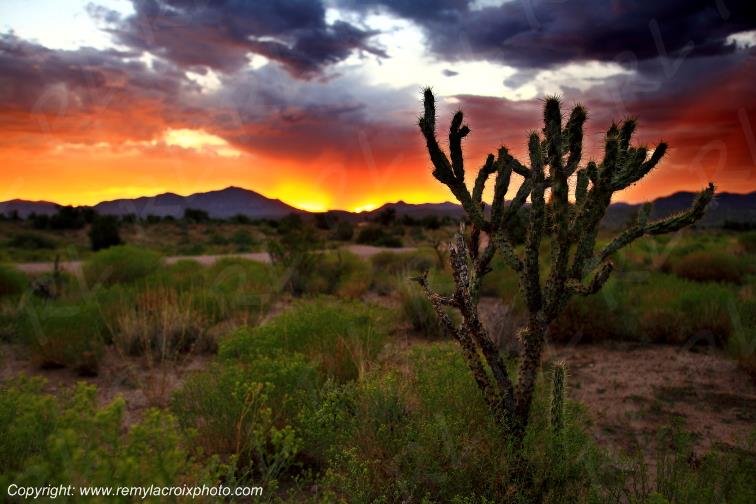 Snow Mountain Arizona USA www.remylacroixphoto.com