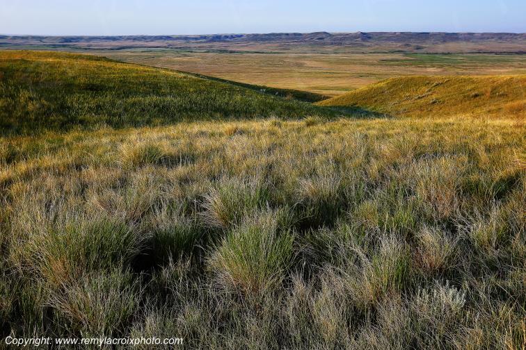 Grasslands National Park West Great Plains Grandes Plaines Saskatchewan Canada www.remylacroixphoto.com