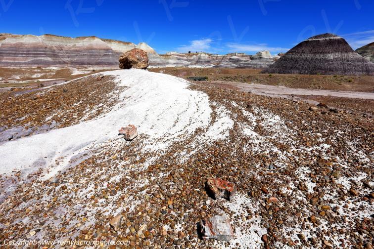 Blue Mesa Petrified Forest National Park Arizona USA