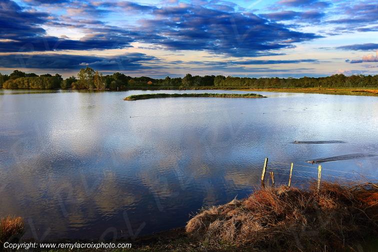 Etang Foucault parc naturel r�gional de la Brenne Indre Berry Centre Val de Loire France