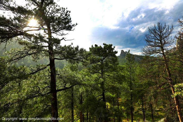 Black Hills South Dakota USA