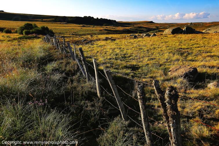 Col de Bonnecombe Aubrac Loz�re Languedoc-Roussillon Occitanie France www.remylacroixphoto.com