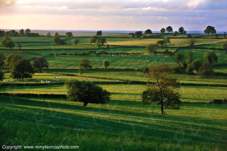 Le Vilhain Tron�ais Allier Auvergne France