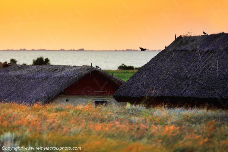 Denistepe Delta Danube River Romania Roumanie www.remylacroixphoto.com