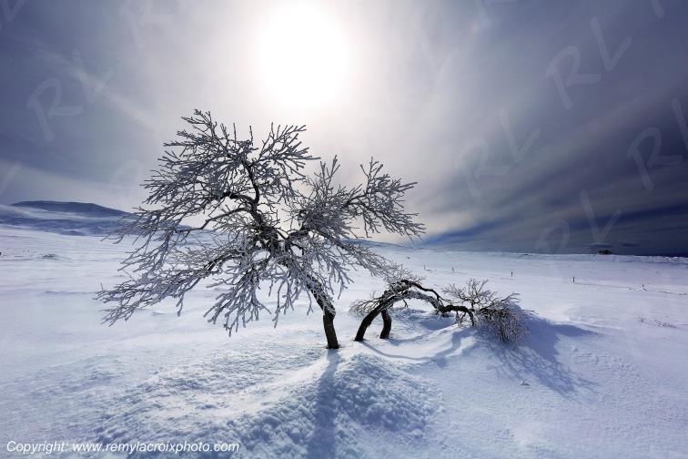 Massif du Sancy Chastreix Puy de D�me Auvergne Rh�ne-Alpes France www.remylacroixphoto.com