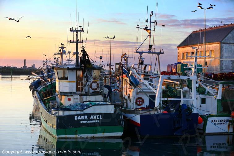 Port de St Gu�nol� Finist�re Bretagne France
