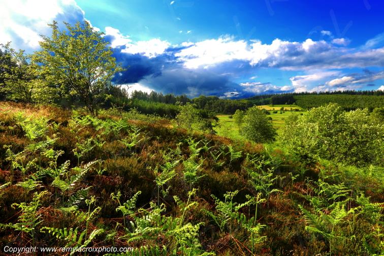 Tourbi�re du Long�roux plateau de Millevaches Corr�ze Limousin France