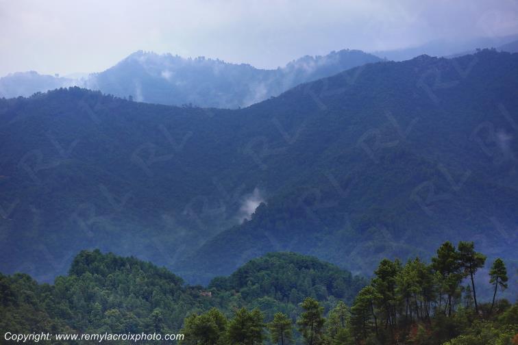 Col Saint Pierre Corniche des C�vennes Gard Occitanie Languedoc Roussillon France www.remylacroixphoto.com