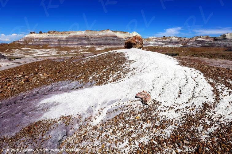 Blue Mesa Petrified Forest National Park Arizona USA