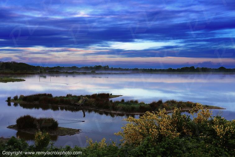 Etang Foucault parc naturel r�gional de la Brenne Indre Berry Centre Val de Loire France
