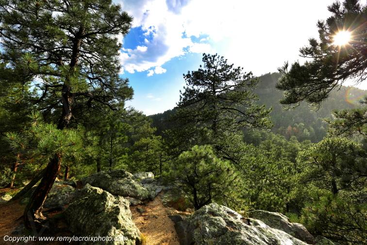 Black Hills South Dakota USA