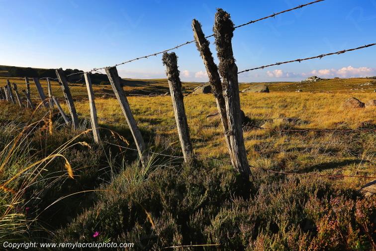 Col de Bonnecombe Aubrac Loz�re Languedoc-Roussillon Occitanie France www.remylacroixphoto.com