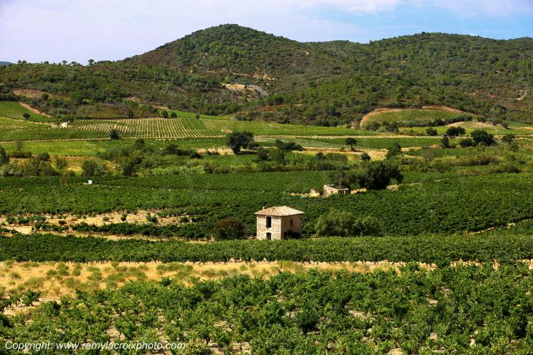 Vignoble du Haut-Fitou Corbi�res Aude France
