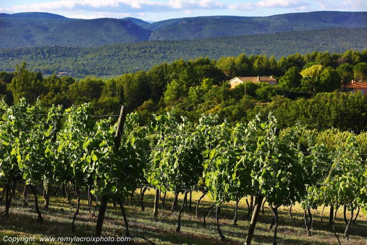 Roussillon Lub�ron Vaucluse Provence Alpes C�te d'Azur PACA France www.remylacroixphoto.com