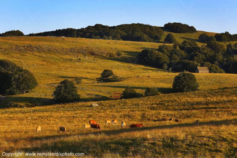 Col de Bonnecombe Aubrac Loz�re Languedoc-Roussillon Occitanie France www.remylacroixphoto.com