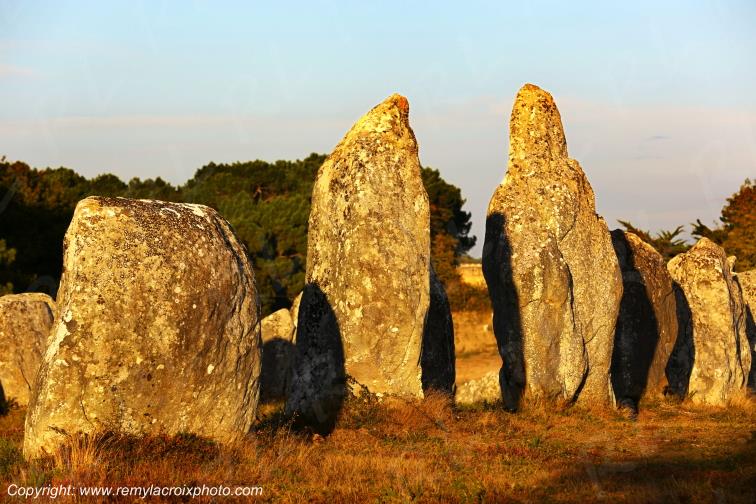 Alignements de Kermario Carnac Morbihan Bretagne France