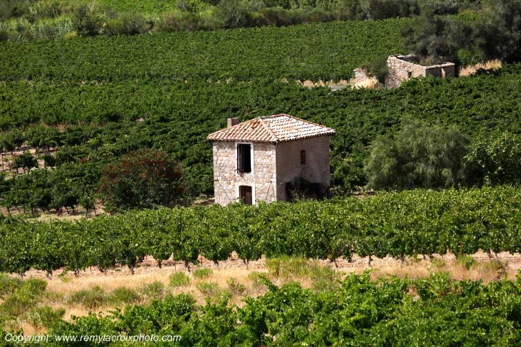 Vignoble du Haut-Fitou Corbi�res Aude France