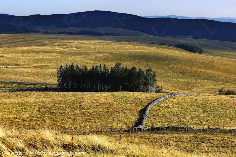 Aubrac Aveyron Occitanie France www.remylacroixphoto.com