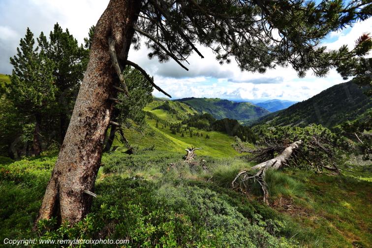 Pla de Moun�gou Ari�ge Occitanie Midi Pyr�n�es France www.remylacroixphoto.com