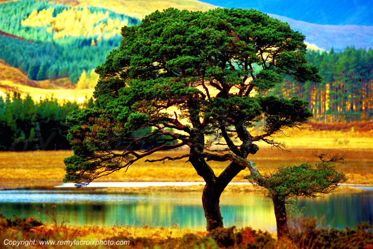 Loch Tulla Black Mount Rannoch Moor Ecosse Scotland